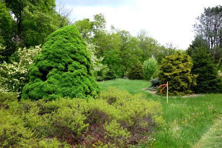Dawes Arboretum - DSC02873