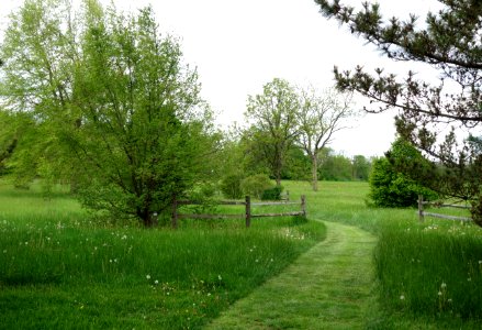 Dawes Arboretum - DSC02824