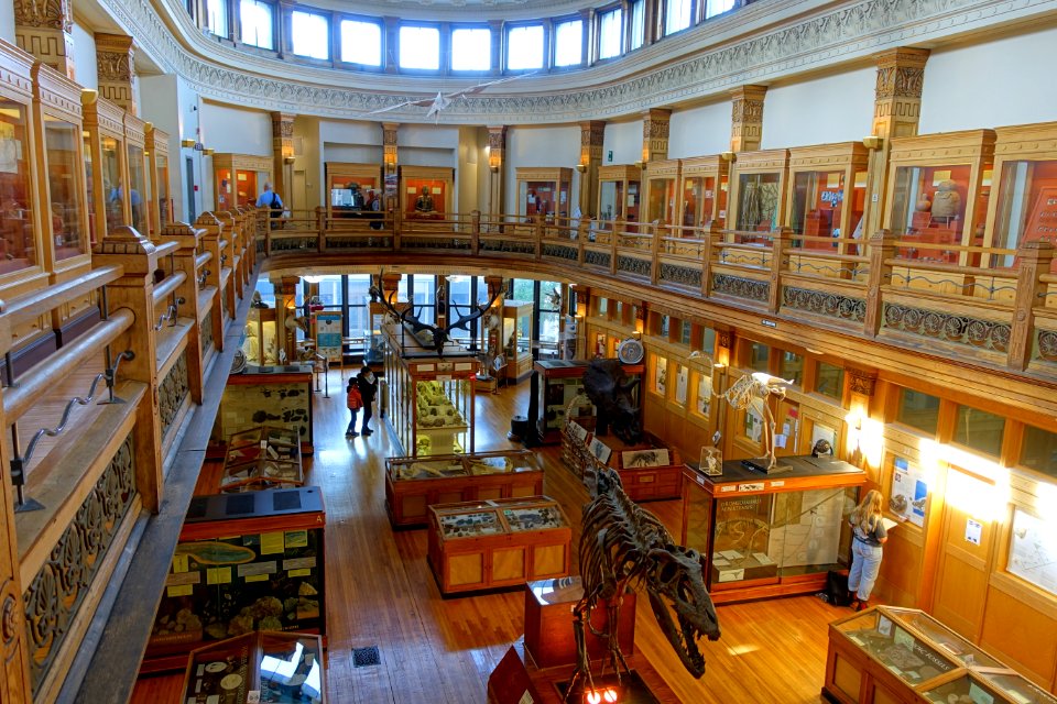 Dawson Gallery - Redpath Museum - McGill University - Montreal, Canada - DSC08148