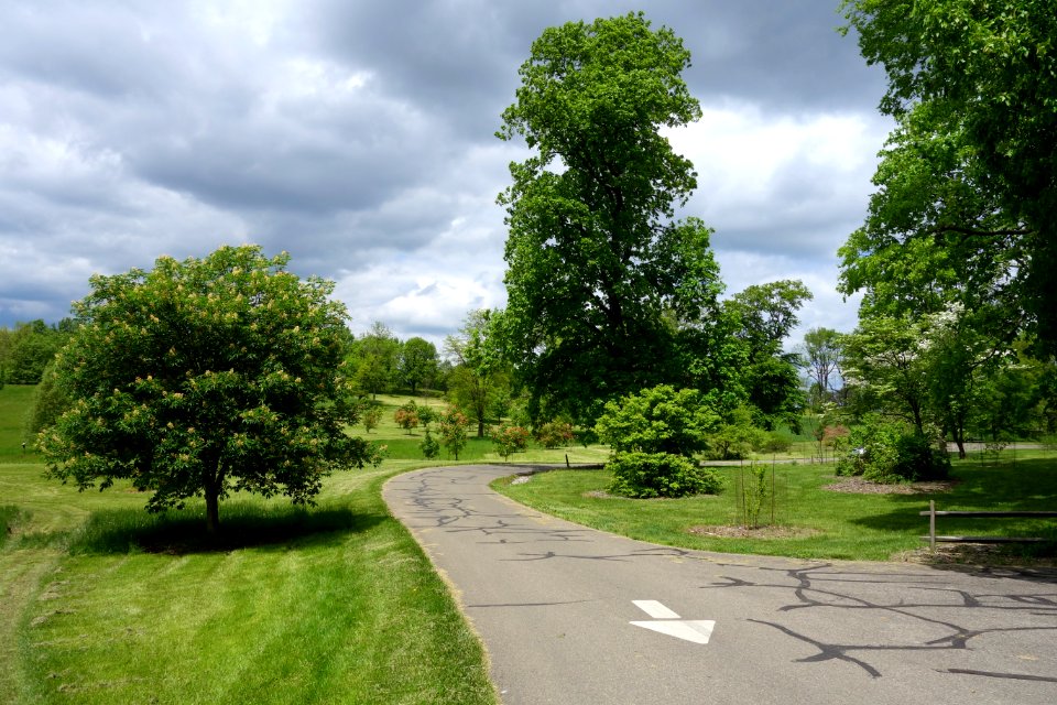 Dawes Arboretum - DSC02868