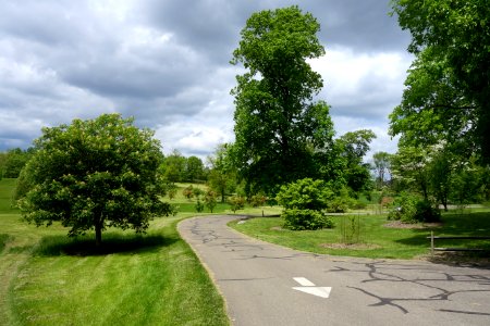 Dawes Arboretum - DSC02868