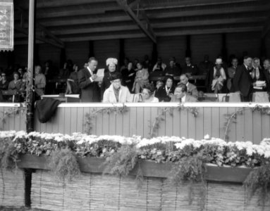 Concours Hippique te Rotterdam, aankomst Koninklijke familie, Bestanddeelnr 918-1434