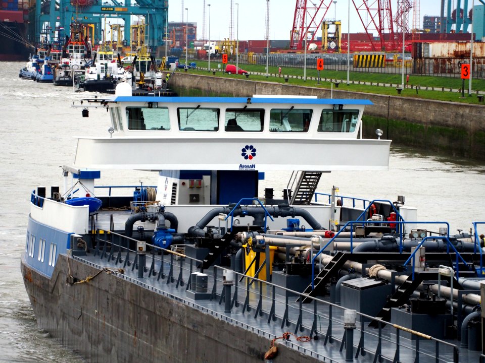 Colorado (ship, 2004), ENI 06004293, Port of Antwerp pic7