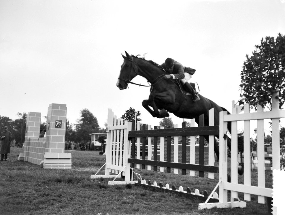 Concours Hippique, Bestanddeelnr 911-4689