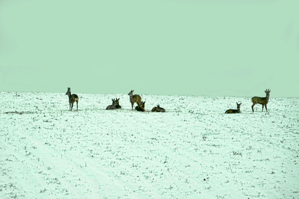 Horizontal cold nature