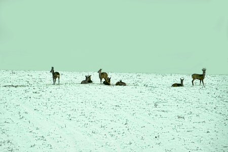 Horizontal cold nature