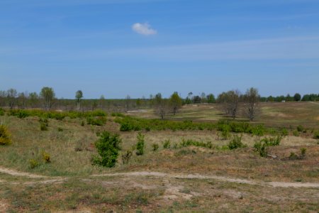 Döberitzer Heide open landscape 2020-05-08 08