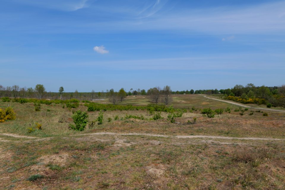 Döberitzer Heide open landscape 2020-05-08 05
