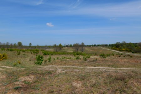 Döberitzer Heide open landscape 2020-05-08 05