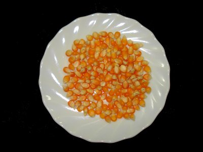 Corn grains