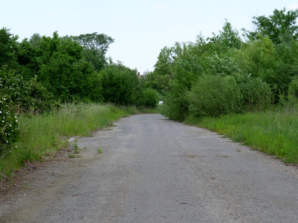 Destructed village Haidemühl 2019-06-05 17