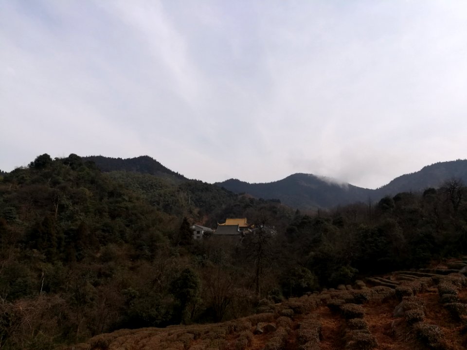 Distant view of Guangji Temple (Hunan), picture1