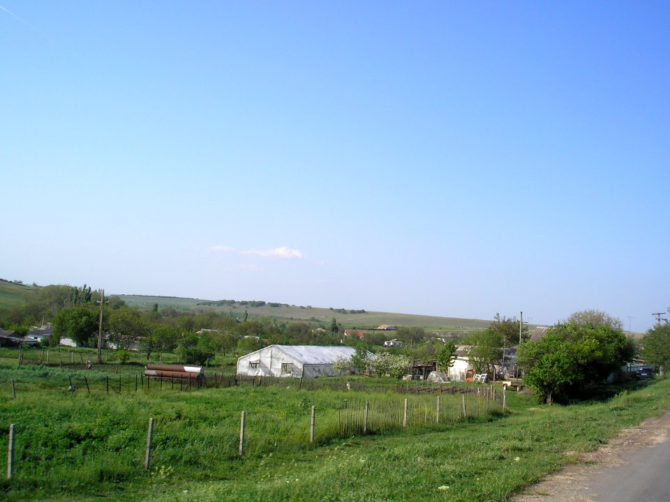 Dmitrovo (Crimea) 5