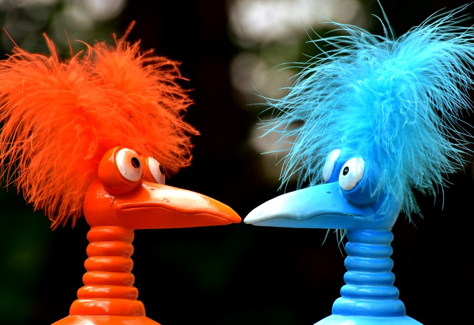 Funny odd birds cute
