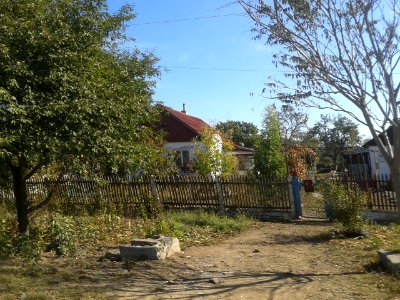 DmitrievkaDz 16