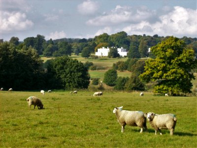 Distant view of Barham Court