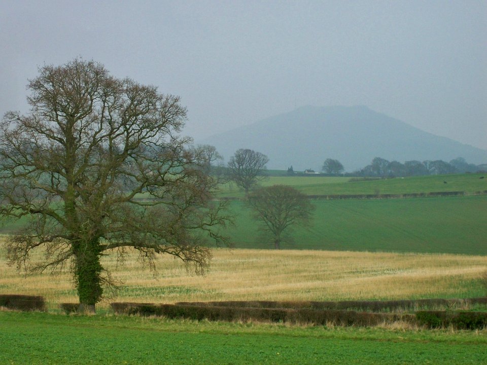 Distant view of the Wrekin
