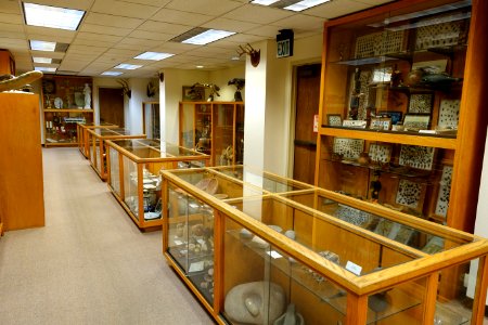 Display cases - Mount Angel Abbey Museum - Mount Angel Abbey - Mount Angel, Oregon - DSC00036