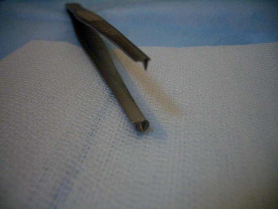 Dissecting forceps 02