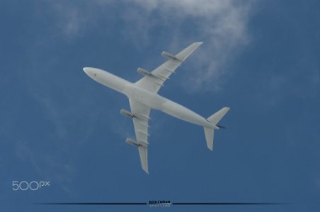 Dlh 346 (193405931)