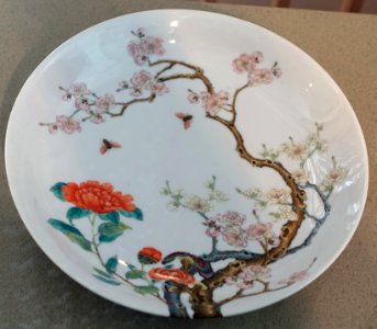 Dish with peach blossoms, camellias, lingzhi fungus, and bees, Jingdezhen, China, Qing dynasty, 1800s, porcelain, overglaze enamels - Peabody Essex Museum - Salem, MA - DSC05139 photo
