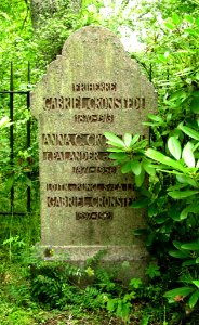Djursholm, Louis Cronstedt