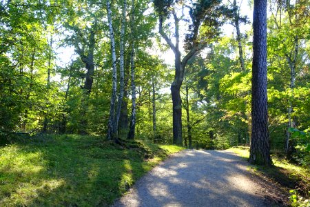Djurgården - Stockholm, Sweden - DSC01699