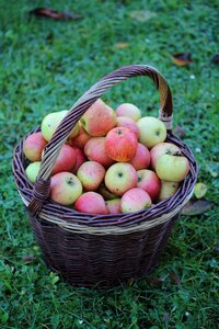 Autumn harvest thanksgiving