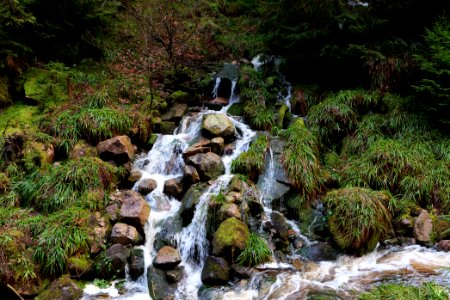Dobelbach Northern Black Forest 2020-03-11 18
