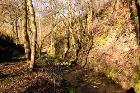 Dobrach oberhalb Grafendobrach (3)