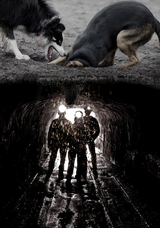 Funny image editing photomontage