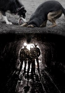 Funny image editing photomontage