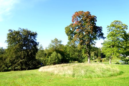 Djurgården - Stockholm, Sweden - DSC01695
