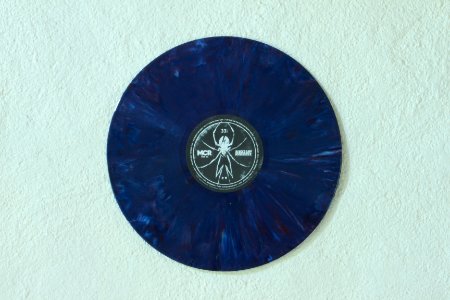 Disco de vinilo de Danger days