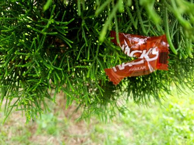 District park, Mae Sai - 2017-07-03 (006)