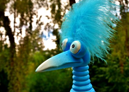 Weird bird cute feather