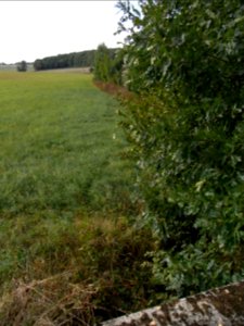 Dittenbach ober Brücke Usinger Weg R0020421