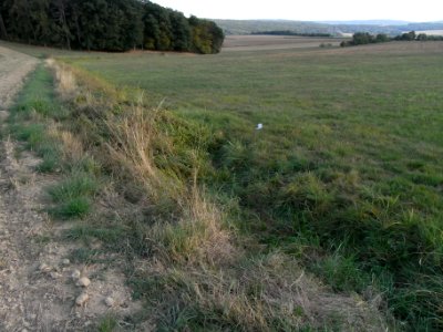 Dittenbach Beginn Acker Im Gauroth R0020480