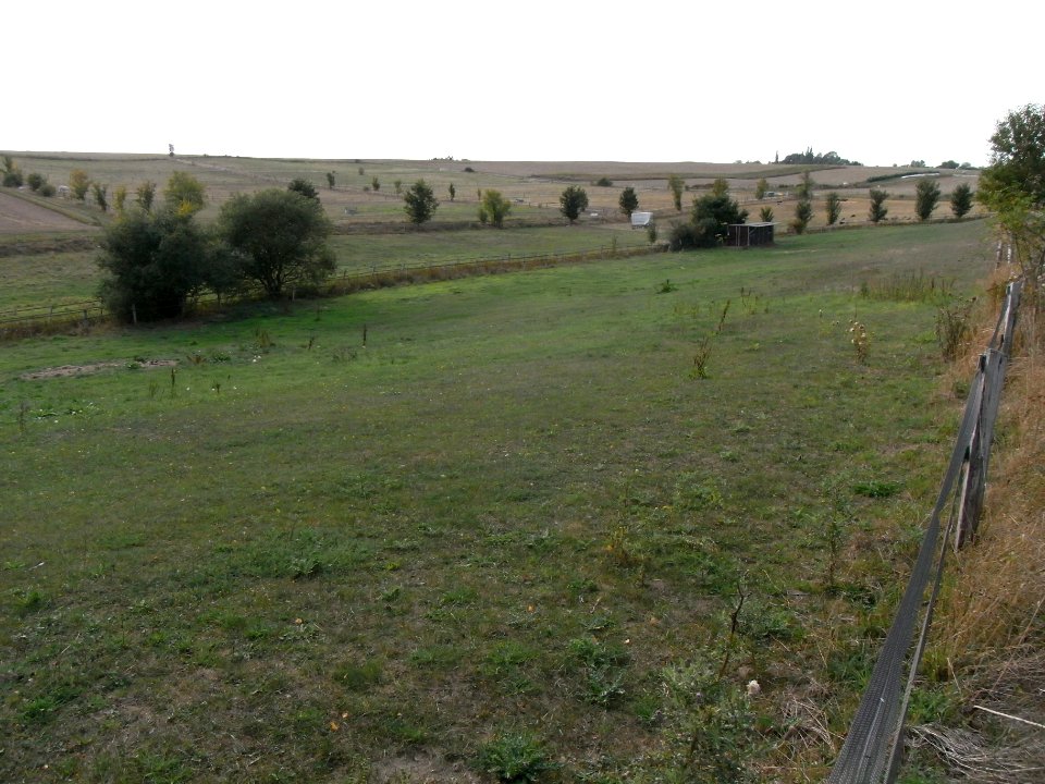 Dittenbach auf Weide ober Teichen R0020419