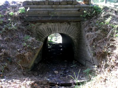 Dittenbach Brücke B 275 aus R0020331