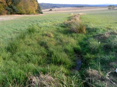Dittenbach Sickerquellen unter Gauroth R0020462