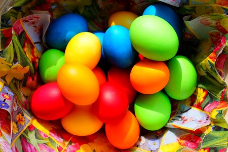Happy easter easter egg painting colored photo