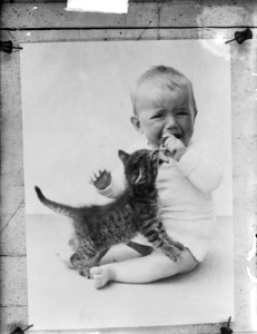 Dit poesje is niet voor de poes, Bestanddeelnr 903-5367