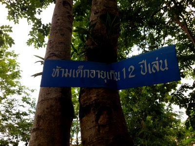 District park, Mae Sai - 2017-07-03 (016)