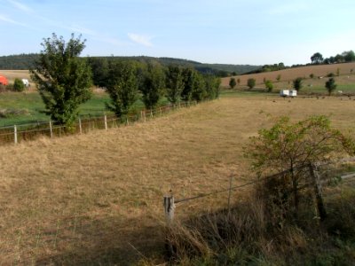 Dittenbach unter Brücke Usinger Weg R0020425