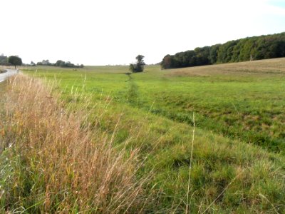 Dittenbach Oben im Strüthchen R0020441