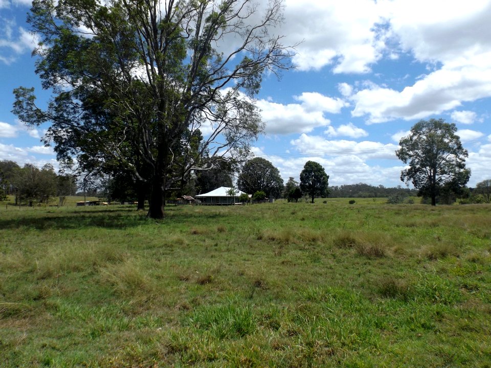 Fields along Cedar Vale Road at Cedar Vale, Queensland