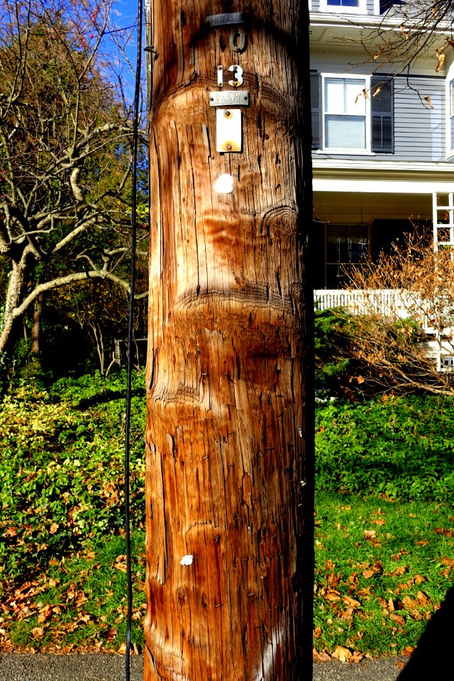 Distressed utility pole - Arlington, MA - DSC03508