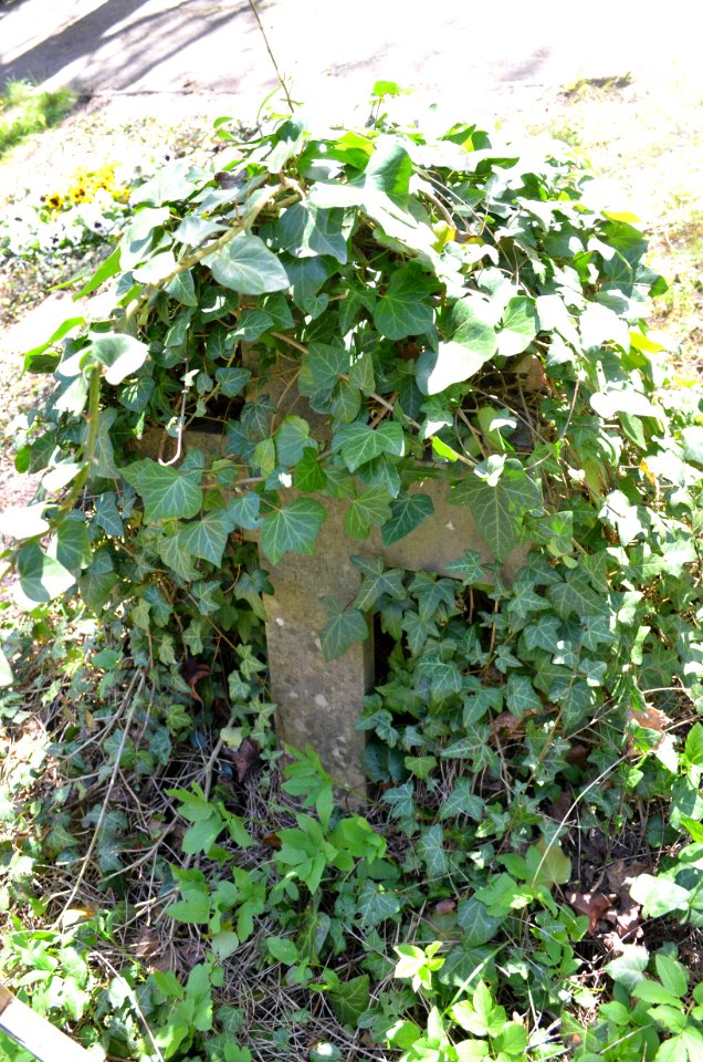Frankfurt, Hauptfriedhof, Grab B adM 330 Scharff