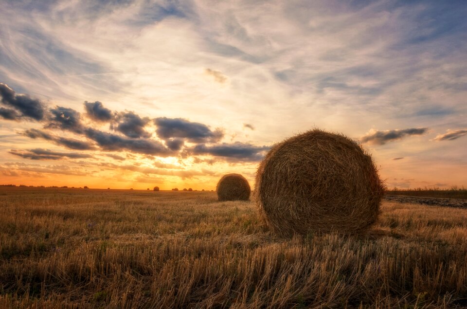 Landscape field straw